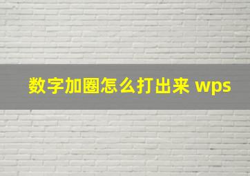 数字加圈怎么打出来 wps